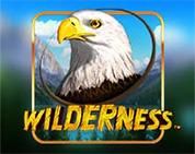 Wilderness